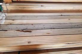 Finishing beetle kill pine (self.woodworking). Your Metro Denver Beetle Kill Pine Blue Stain Pine Headquarters
