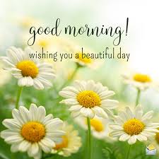 Outstanding pic of good morning 8. Wishing You A Good Day Images