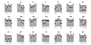 Bass Guitar Chords An In Depth Guide To Understanding Them