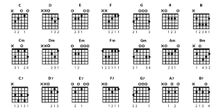 bass guitar chords an in depth guide to understanding them