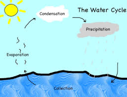 The Water Cycle Create Webquest