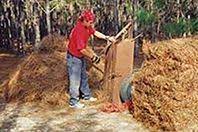 Wholesale dark green straws plus hard straight green pine independent paper packaging high quality plastic straws. Wholesale Pine Straw Atlanta Georgia Florida Putnals Premium Pine Straw