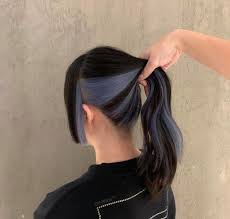 Hidden Hair Colors To Try For A Chic Low Maintenance Look In 2021 Hidden Hair Color Hair Dye Colors Hair Color Underneath