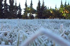 Check spelling or type a new query. Kenapa Dieng Bersalju Setiap Tahun Fenomena Langka Di Negeri Tropis