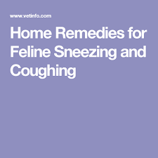 Coughing, gagging, reverse sneezing, hiccupping, retching, and wheezing can all be misidentified as a sneeze, and each of these symptoms come with. Home Remedies For Feline Sneezing And Coughing Home Remedy For Cough Cat Sneezing Remedies Sneezing Remedies