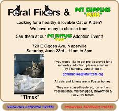 As of 2005, it was the third largest specialty pet food retailer in the us. Pet Supplies Plus Adoption Event Petfinder Event Calendar