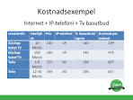Fiber kostnad per manad