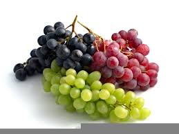 Maybe you would like to learn more about one of these? Unduh 770 Gambar Animasi Buah Anggur Terbaru Gambar Animasi