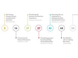 Table Contents Contents Page Design Contents Design Timeline Design