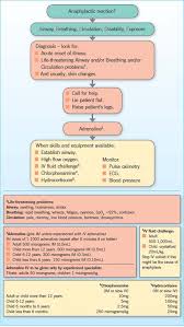 A report from the rochester. Triggers Clinical Features And Management Of Anaphylaxis In Children