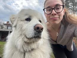 Pet sitting recommendations needed