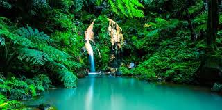 Die regionalregierung der azoren hat, gemeinsam mit unternehmen und verbänden der touristikbranche, das programm clean & safe açores in kraft gesetzt. Massgeschneiderter Urlaub In Portugal Azoren Mit Einer Lokalen Agentur Quotatrip