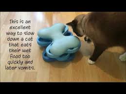 As a supplement to the article, we created this handout that you can download and share with others! Wet Food Puzzles Food Puzzles For Cats Puzzle Food Wet Food Animals
