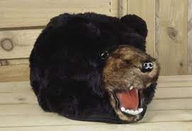 Bear Hat Bear Hat Silly Hats Cool Hats