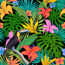 Leafs background illustrations & vectors. Toucan Tropical Leaves Background Free Stock Photo Public Domain Pictures