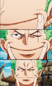 Roronoa Zoro Roronoa Zoro One Piece Funny One Piece Funny Moments