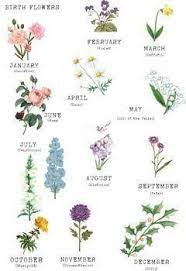 naissance fleur famille imprimer 誕生月の花 誕生花のタトゥー 月 花