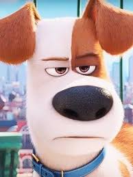 смотреть мультик тайная жизнь домашних животных все серии подряд Polnometrazhnyj Multfilm Tajnaya Zhizn Domashnih Zhivotnyh 3 Vokrug Tv