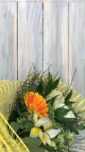 Non sapendo dove andare, rim. 170 Idee Su Fiori E Piante Da Esterno Nel 2021 Piante Da Esterni Fiori Piantare Fiori