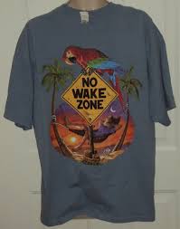 Electronics Cars Fashion Collectibles Coupons And More Ebay Mens Shirts Blue Tee Shirts