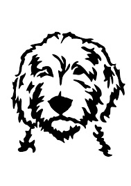 Bringing out the best in puppies and dogs windsong doodles is a premier southern california goldendoodle breeder. Coastland Goldendoodles