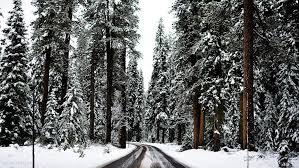 2017 November16 Jpg Christmas Desktop Wallpaper Winter Desktop Background Winter Wallpaper Desktop