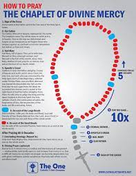 Jesus asked this to the next day as saint faustina entered the chaplet where she prayed, jesus instructed her to say the chaplet this way: Infographic On How To Pray The Chaplet Of Divine Mercy Divine Mercy Prayer Divine Mercy Chaplet Divine Mercy Rosary