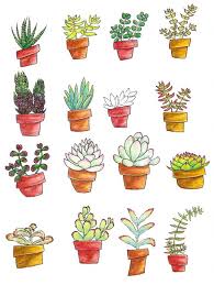 The remains of the organisms slowly changed in form to become different kinds of fossil fuels. The 8 Types Of Succulents I Ve Drawn And Owned Monica Heilman Art