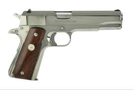 Image result for Grace Silver 1993 Colt