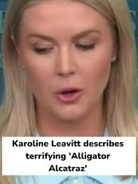 Katie Trip to Alligator Alcatraz