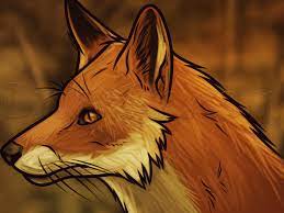 How To Draw A Fox Head By Dawn Fox Drawing Tutorial Fox Drawing Drawings