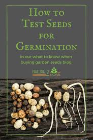 Pin On Vegetable Gardening For Beginners