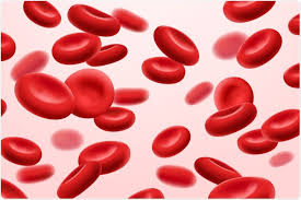 Illustration of red blood cells in plasma, representing blood and anemia-related care