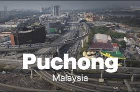 * buka permainan dan memilih haiwan yang anda ingin menyembuhkan. Klinik Pakar Kanak Kanak Di Puchong 2021 Update