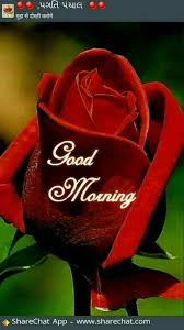 Good morning in hindi shayri images wallpaper photo pics hd for whatsaap & facebook. Sign In Good Morning Roses Good Morning Wednesday Good Morning Quotes