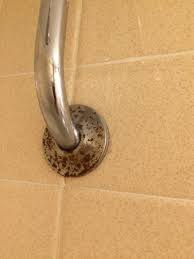 Quality inn hamburg is located in hamburg. This Shower Head Has Not See A Scrub Brush In Years Picture Of Quality Inn Hamburg Tripadvisor