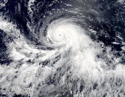 Find more ways to say tropical cyclone, along with related words, antonyms and example phrases at thesaurus.com, the world's most trusted free thesaurus. Typhoon Definition And Meaning Collins English Dictionary