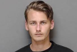 Dothan man accused of trying to hotwire stranger's car