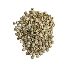 Image result for Coix