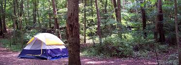 Find the best camping in west virginia & state parks camping on glamping hub. Eating Sleeping New River Gorge National Park And Preserve U S National Park Service
