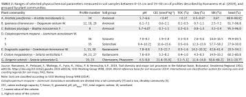 Image result for Oxygonum buchananii
