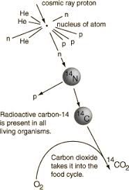 For this reason, it's preferable. Carbon Dating Meaning