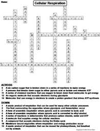 Cellular Respiration Worksheet Crossword Puzzle By Science Spot Cellular Respiration Photosynthesis And Cellular Respiration Cellular