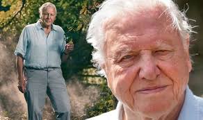 Boris johnson sends birthday wishes as he thanks great naturalist broadcaster and natural historian sir david attenborough has turned 95 today sir david and the pm worked together on the un climate change conference David Attenborough Won T Leave Home Over Health Fears As He Admits I Don T Have Long Tv Radio Showbiz Tv Express Co Uk