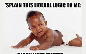 Zing Meme Perfectly Skewers Liberal Hypocrisy Allen West Scoopnest