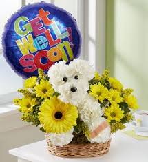 But the probably the easiest way to start is to surprise her with some flowers. 44 Get Well Flowers Gifts Ideas Get Well Flowers Flower Arrangements Get Well Gifts