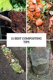 11 Best Composting Tips To Create A Perfect Compost Gardenoholic Organic Gardening Tips Garden Compost Compost