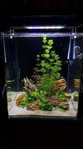 We did not find results for: 95 Aquarium Decor Rock Oranament Wood Ideas Aquarium Decor Aquarium Aquarium Ornaments
