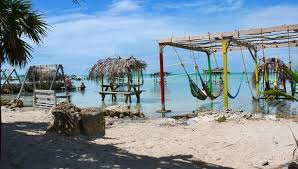 One of the most popular applications is to use these bamboo fence panels as chain link privacy screens or slats. Beachfront At Bamboo Fence Picture Of Bamboo Fence San Pedro Tripadvisor