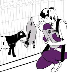 Les Mamans Winneuses Le Jardin D Allard Le Zoo Animaux Illustrations